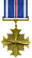 Distinguished Flying Cross